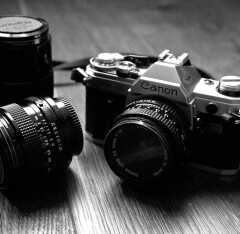 LOUVEIRA: Concurso Fotográfico