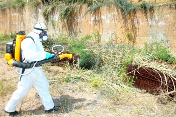 a10_VAL_Dengue_Cred_PMVal