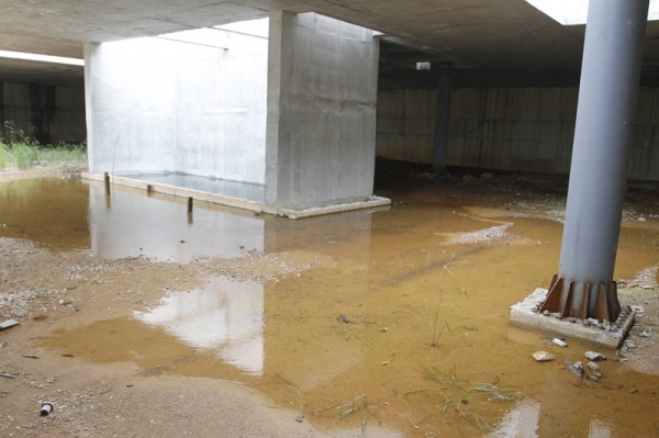 Piscina ou criadouro de dengue, ser ou não ser!
