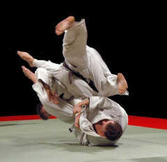 VALINHOS: Valinhos sedia 5º Open de Jiu Jitsu