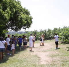 VALINHOS: Passeios de Agroturismo e Turismo Ecológico