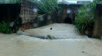 Inundação casa Leila_cred leitor (2)