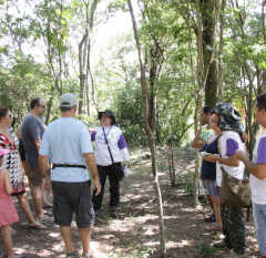 VALINHOS: Roteiros de agro e ecoturismo em Valinhos