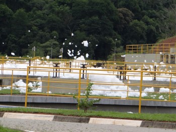 ETE_cred Roberto Palaro (21)