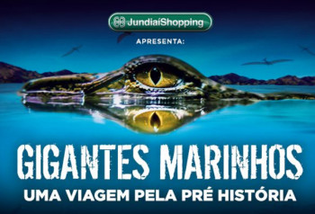 REG_Gigantes Marinhos_cred reprodução