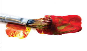 VDO_SAV 2016_cred PMV