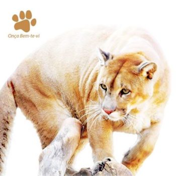 REG_OnçaBem te vi_cred reprodução mata ciliar