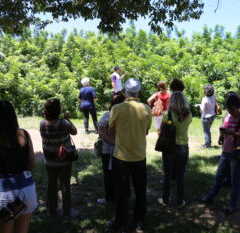 VALINHOS: Passeios de Agroturismo e Ecoturismo começam no dia 31