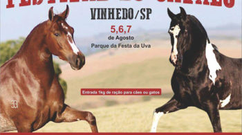 VDO_Encontro Cavalos_cred divulgação