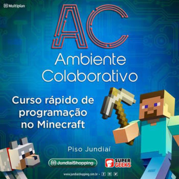 REG_Minecraft_cred divulgação