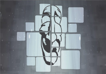 VDO_Festevi_cred PMV cópia