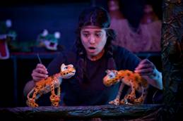 reg_buzum_cred-divulgacao