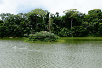 vdo_represa_credito-reproducao