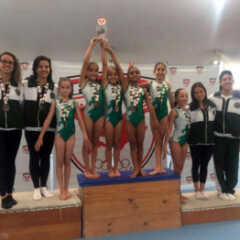 LOUVEIRA: Ginástica Artística de Louveira faz bonito em Campeonato Estadual