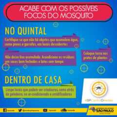 GERAL: Xô, mosquito! O combate a dengue começa em casa. Faça sua parte