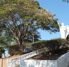 REGIÃO: Celebrações do ‘Dia de Finados’ nas igrejas de nossa região