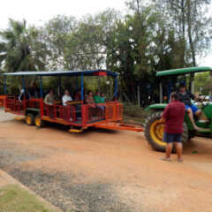 VALINHOS: Agroturismo traz visitantes para Valinhos
