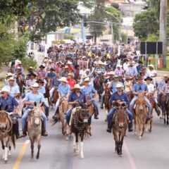 VALINHOS: Desfile de Cavaleiros, Muladeiros e Charreteiros abrirá a 68ª Festa do Figo e 23ª Expogoiaba