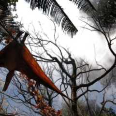 GERAL: ‘Novos dinossauros’ movimentam férias jurássicas em exposição no Zoológico de São Paulo