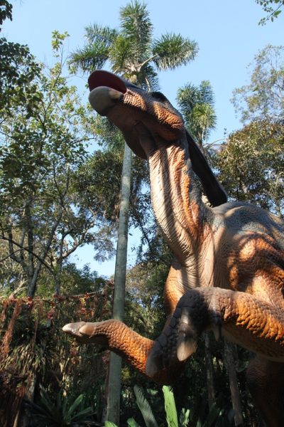 geral_dinos_cred-fernando-battistetti-5