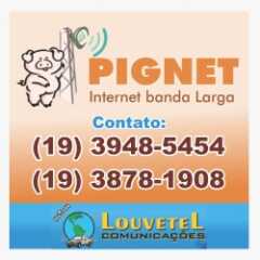 LOUVEIRA: Campanha de vacinação contra raiva animal acontece em agosto