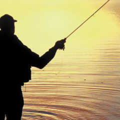 VINHEDO: Liberado ‘Calendário de Pesca’ para 2017