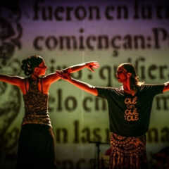 REGIÃO: Teatro Castro Mendes recebe espetáculo de flamenco que homenageia Shakespeare e Cervantes