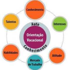 Orientação profissional ajuda os jovens na escolha da carreira