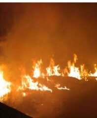 REGIÃO: Incêndios são frequentes em VINHEDO e VALINHOS