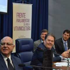 REGIÃO: Encontro aborda, amanhã, caminhos possíveis para produtores de uva