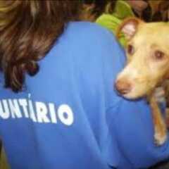 VALINHOS: Semana do Protetor e Voluntário Ligado à Causa Animal terá celebração neste domingo, dia 1º