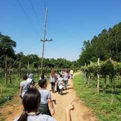 LOUVEIRA: Alunos visitam manancial em Projeto de Educação Ambiental