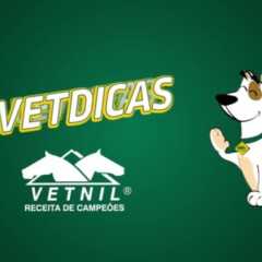 LOUVEIRA: Vetnil efetiva ações de prevenção de câncer de mama em Pets durante o Outubro Rosa