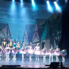 LOUVEIRA: ‘Gioia Rara’ brilha com mais um festival de dança