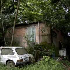 VALINHOS: Militar acumula ‘frota’ de 350 carros desde a década de 1980 em chácara