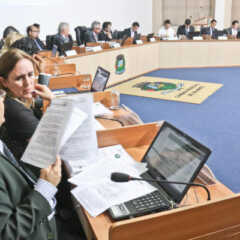 VALINHOS: Vereadores aprovam projeto para valorizar protetores e cuidadores de animais
