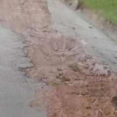 LOUVEIRA: Moradores do Estiva se queixam de abandono por parte da Prefeitura