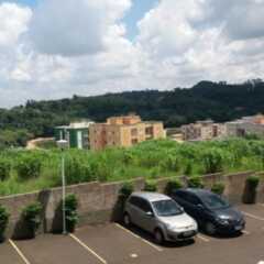 LOUVEIRA: Mato no Jardim Bandeirantes incomoda moradores