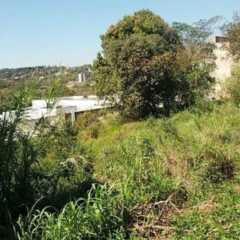 LOUVEIRA: Terrenos abandonados preocupam família