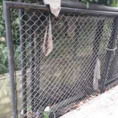 LOUVEIRA: Portão entope canos de Viela no Residencial Cavalli