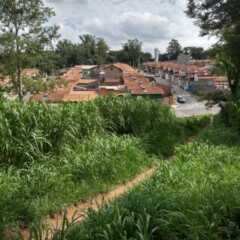 LOUVEIRA: Bairro Vassoural clama por limpeza em terrenos
