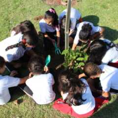 REGIÃO: Prefeitura de VINHEDO desenvolve ação de educação ambiental com a cidade de LOUVEIRA