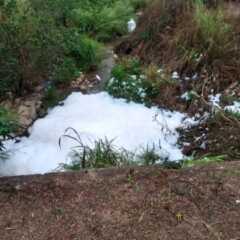 LOUVEIRA: Espuma aparece em córrego próximo à P&G