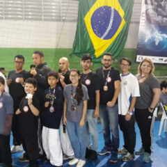 VINHEDO: Karatê conquista 44 medalhas e Taekwondo 10 em Copas Regionais