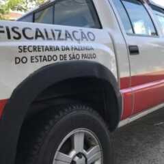 REGIÃO: Operação da Secretaria da Fazenda apura sonegação fiscal em LOUVEIRA