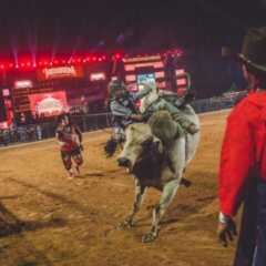 REGIÃO: Jaguariúna Rodeo Festival 2018 recebe etapa decisiva para Las Vegas