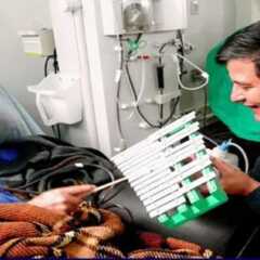 VALINHOS: Começa neste sábado o Curso de Capacitação Musical para Cuidados de Ambientes de Internação Hospitalar