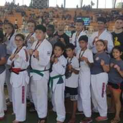 VINHEDO: Taekwondo vinhedense se destaca e conquista 20 medalhas em competição