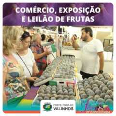 VALINHOS: Festa do Figo tem mais venda e exposição de frutas, encontro de motos e shows neste fim de semana