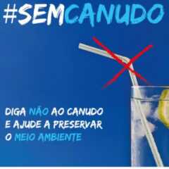 VALINHOS: Projeto que proíbe canudos plásticos em bares e restaurantes está na pauta de hoje na sessão da Câmara